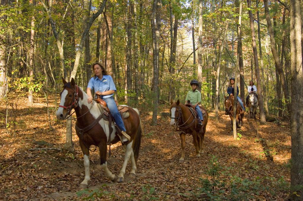 Brasstown Valley & Resort 3*