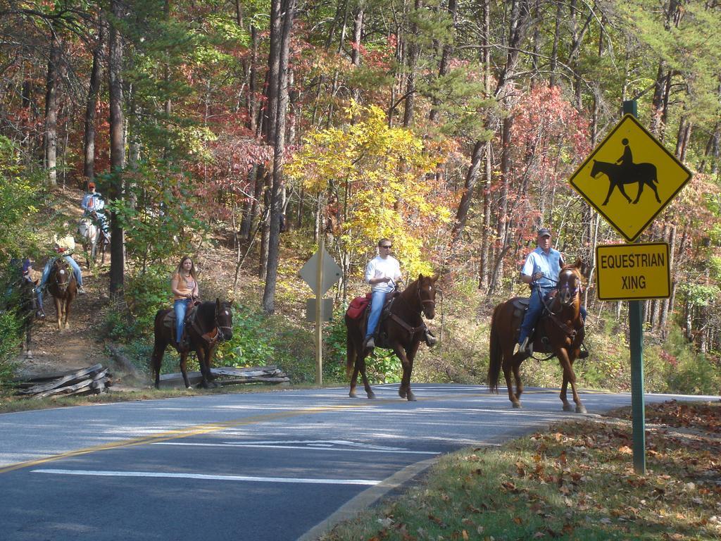 Brasstown Valley & 3* Young Harris